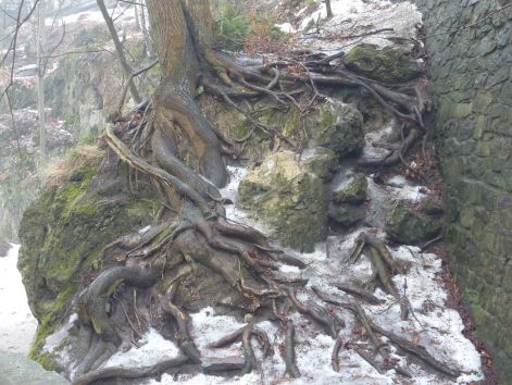 miskolctapolca_13.jpg
